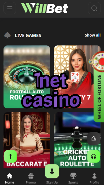 1Net Casino - Best Networked Casino Platform-1poundcasino.ydblkf.net